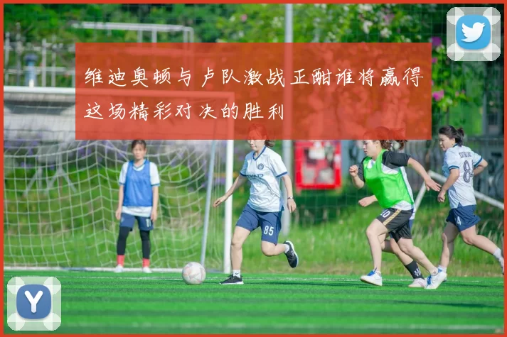 维迪奥顿与卢队激战正酣谁将赢得这场精彩对决的胜利