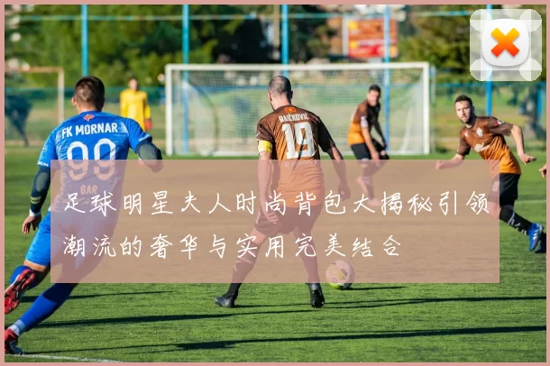 足球明星夫人时尚背包大揭秘引领潮流的奢华与实用完美结合